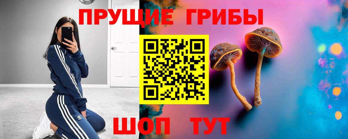 Псилоцибиновые грибы MAGIC MUSHROOMS  Вход с VPN  Артём  Псилоцибиновые грибы мухоморы 